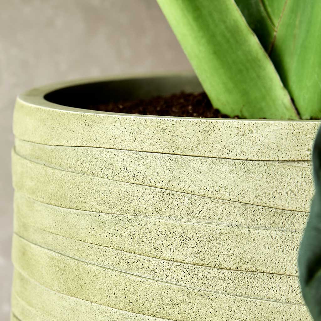 Tornado Cement Stone Planters Textures