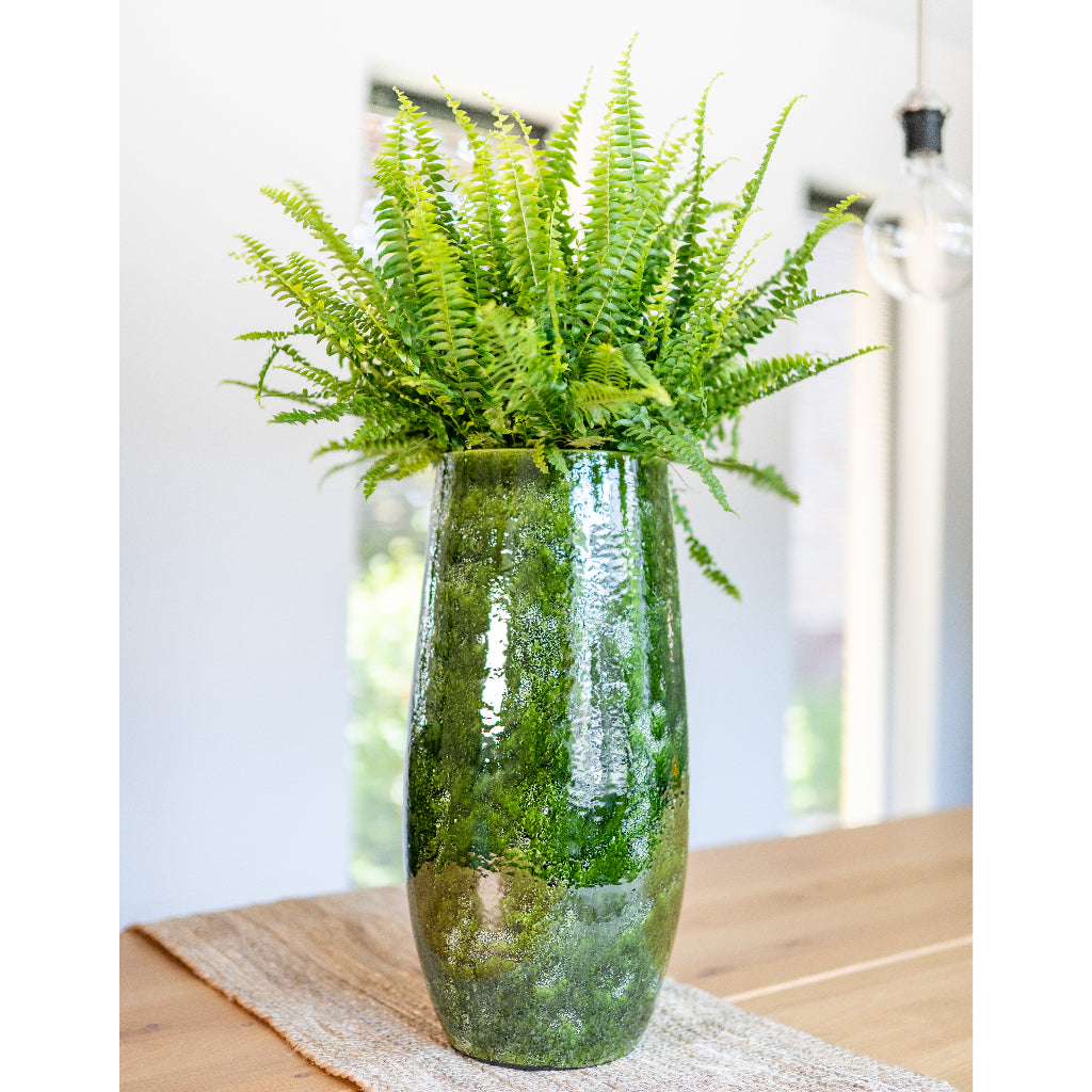 Aimee Tall Plant Vase in Pear with Boston Fern (wide)