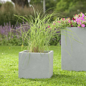 Amfa Square Planters Set of 5 Grey Lifestyle with Plants
