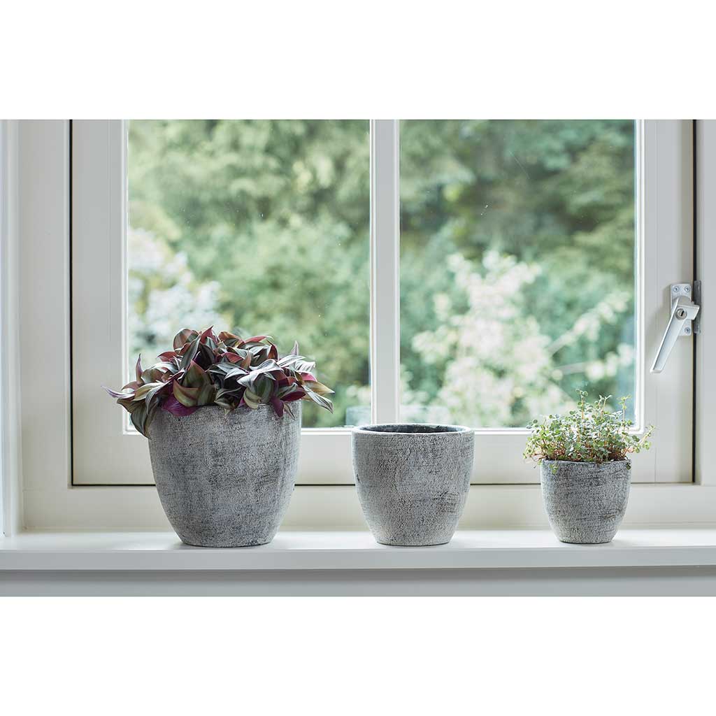 Anne Plant Pot - White Earth - Planted Windowsill