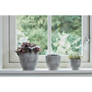 Anne Plant Pot - White Earth - Planted Windowsill