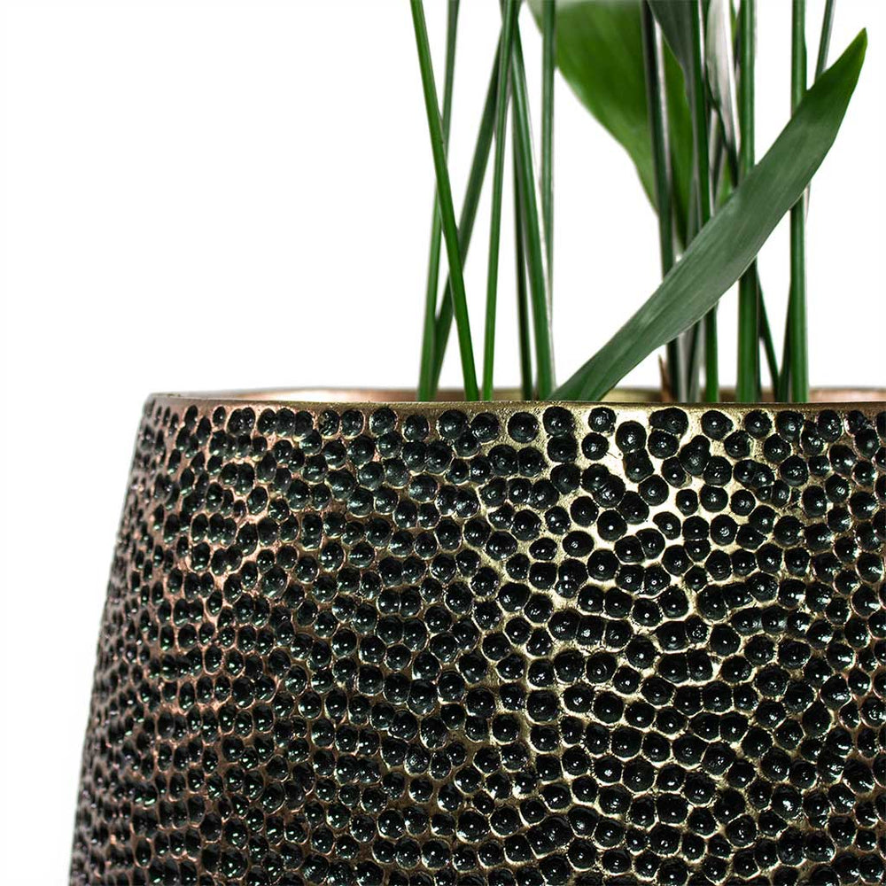 Opus Hit Collection Opus Hit Darcy Planter - Gold - Quality Planters | Hortology - HORTOLOGY