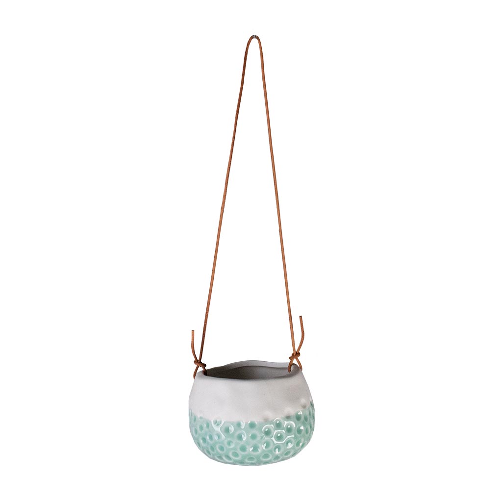 turquoise hanging planter Baby Dotty Hanging Indoor Plant Pot - Turquoise | Hortology