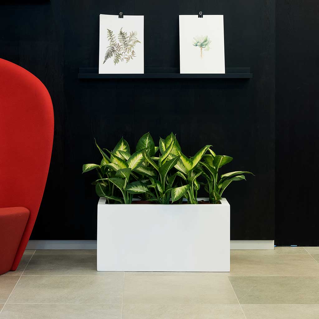 Balcony Planter - Matt White 40 x 20 x 20cm