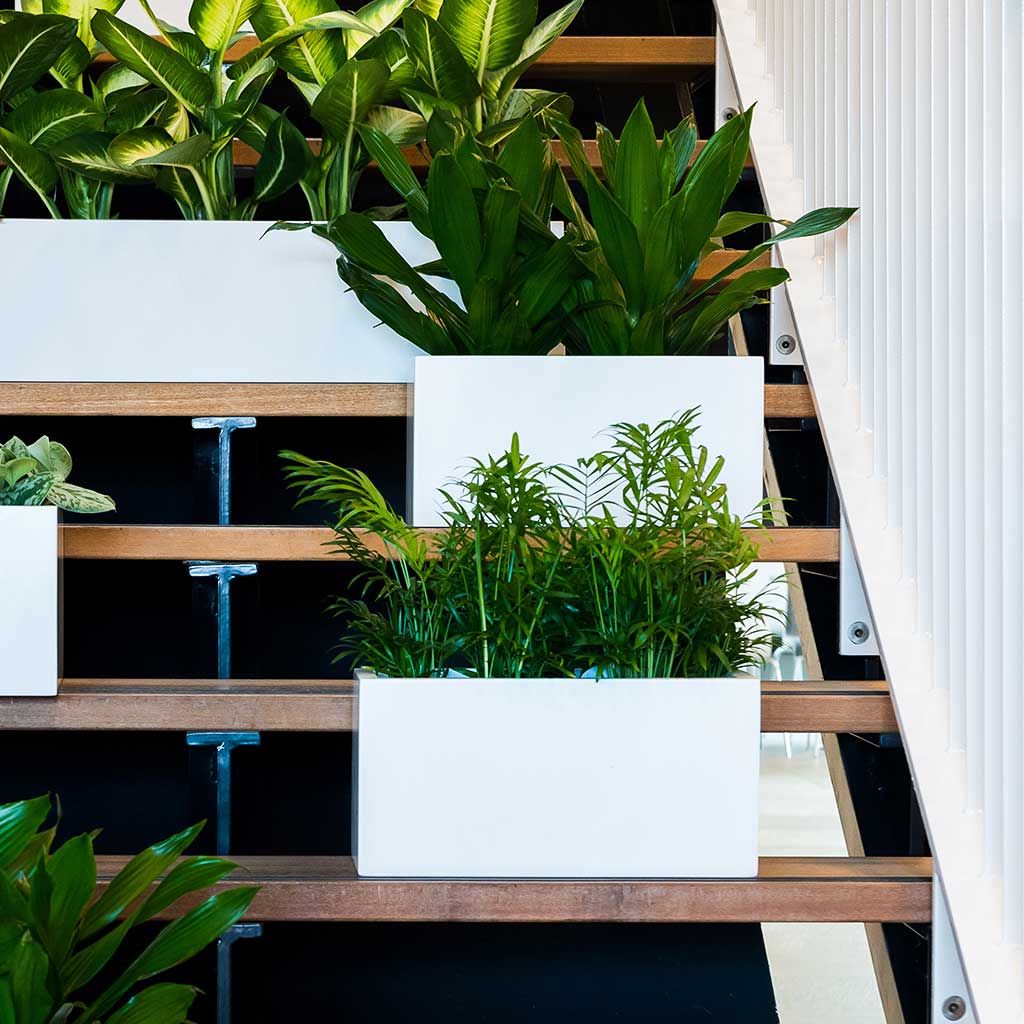 Balcony Planter - Matt White & Houseplants