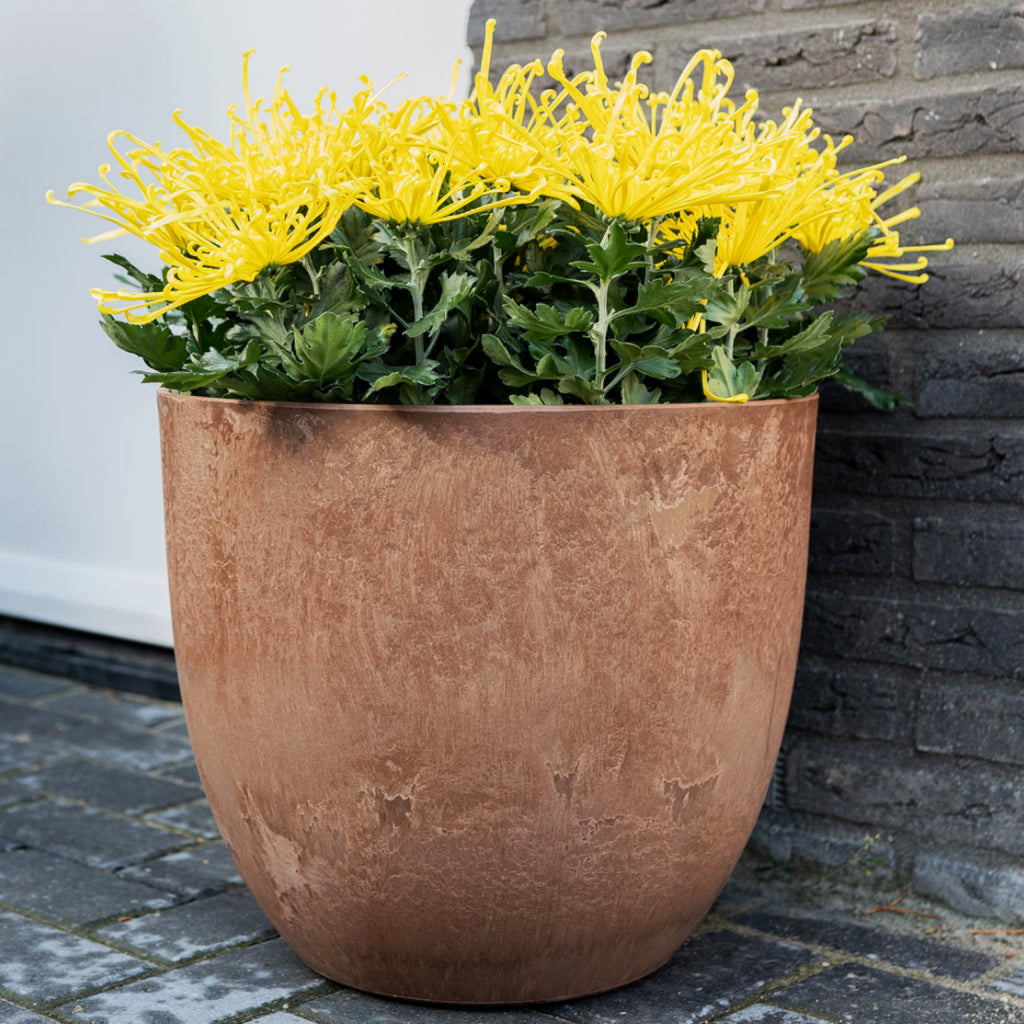 artstone plant pots Bola Artstone Egg Shaped Plant Pot - Oak | Hortology