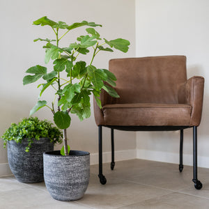 Cas Plant Pot - Anthracite With Chair