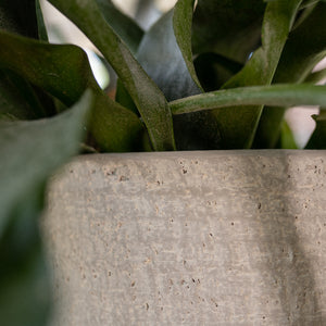 Cas Plant Pot - Cool Grey Close Up of surface texture