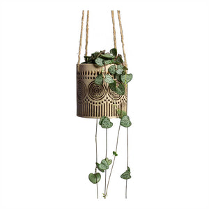 Ceropegia woodii String of Hearts & Syb Hanging Planters Set of 2 Gold