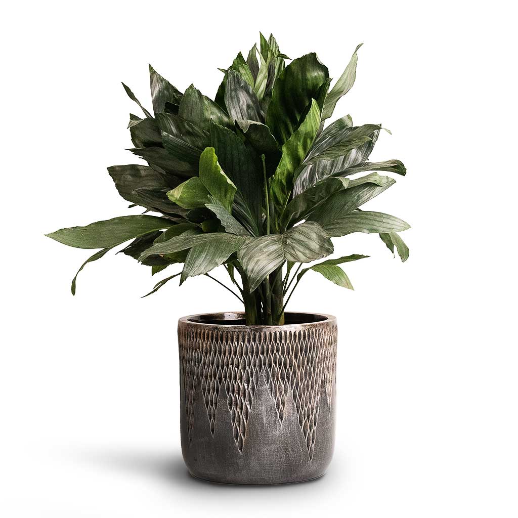 Luxe Lite Comet Cylinder Planter - Bronze - Large