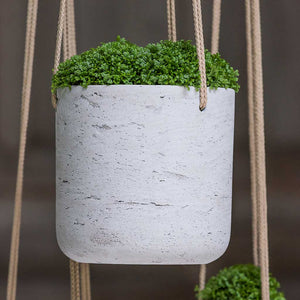 Charlie Hanging Plant Pot - Grey Washed