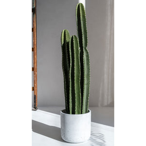 Charlie Plant Pot - White Washed With Artificial Cactus