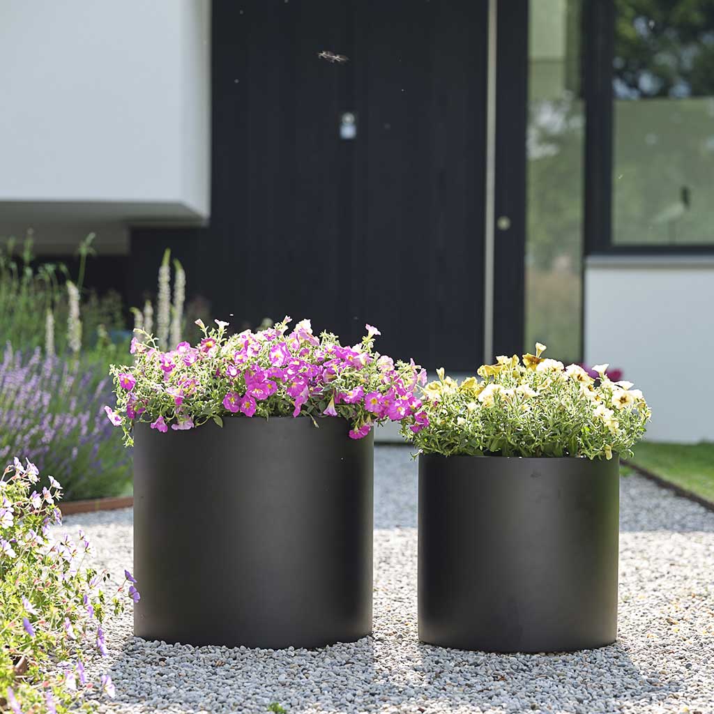 Charm Planter Black with Flowers Lifestyle