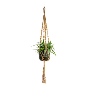 Chlorophytum Ocean Spider Plant with Bolino Plant Pot Green Plant Pot and Macrame Hanger Natural with Beads