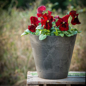Claire Artstone Plant Pot - Grey - Planted
