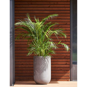 Cody Plant Vase Ridged Cement & Indoor Palm