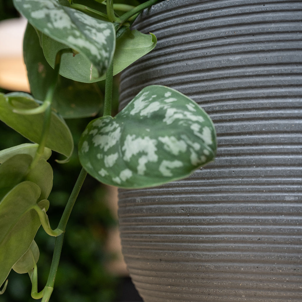 Dice Plant Pot - Ridged Dark Grey 28 x 25cm