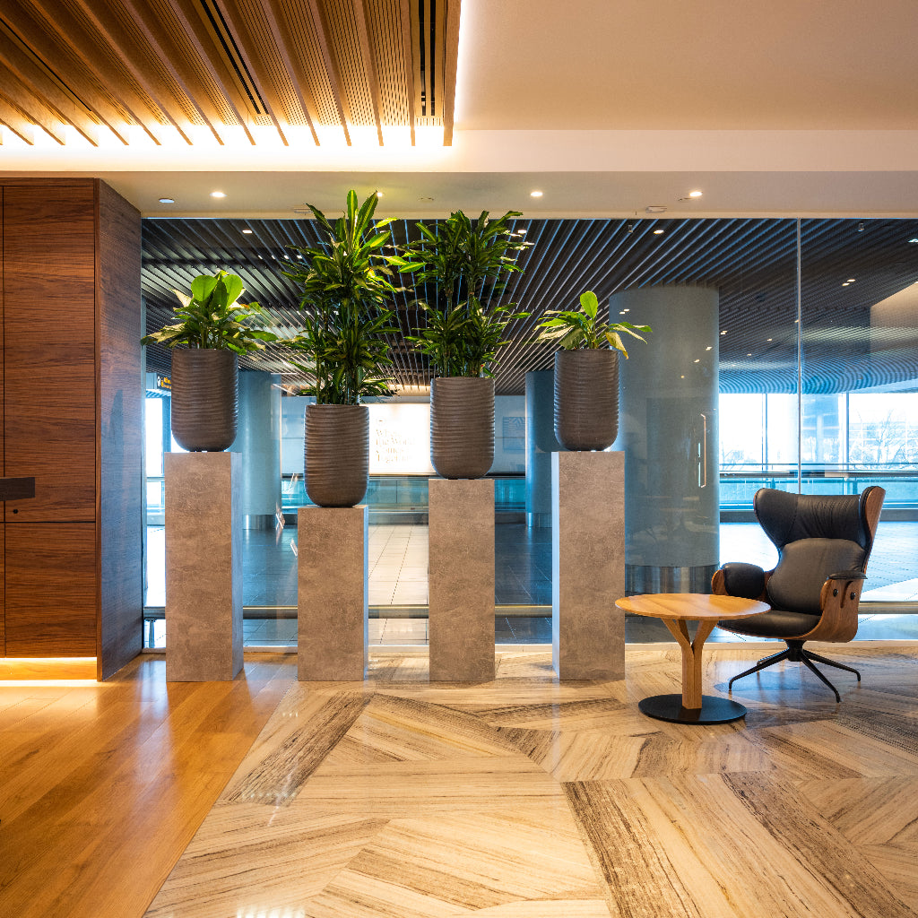 Cody Plant Vase - Ridged Dark Grey Airport Lounge