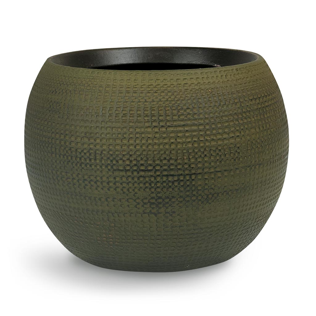 Dex Plant Pot in Forrest Small