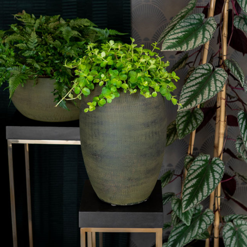 Dex Plant Vase - Forrest