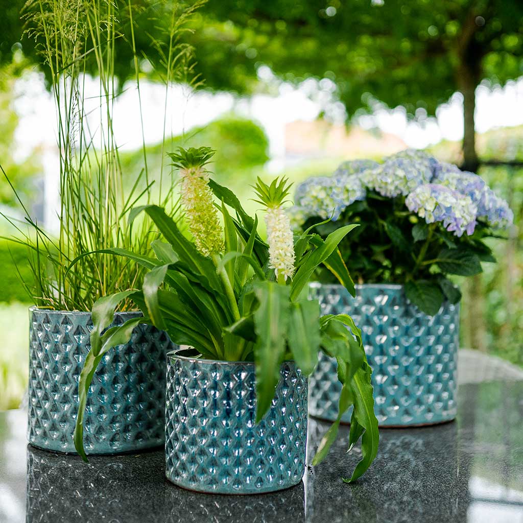 Dion Planters - Set of 3 - Ocean Blue & Plants