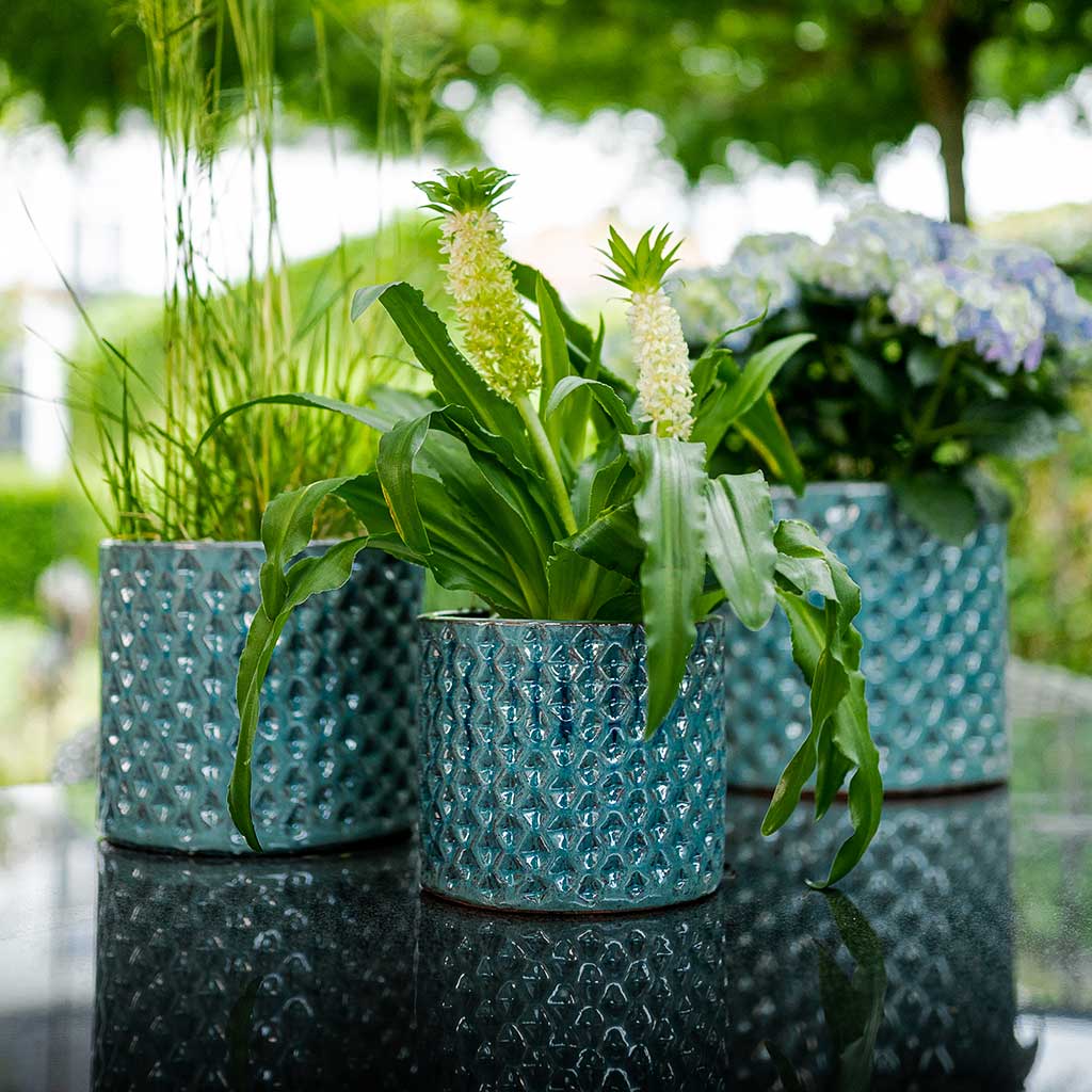 Dion Planters - Set of 3 - Ocean Blue & Outdoor Plants