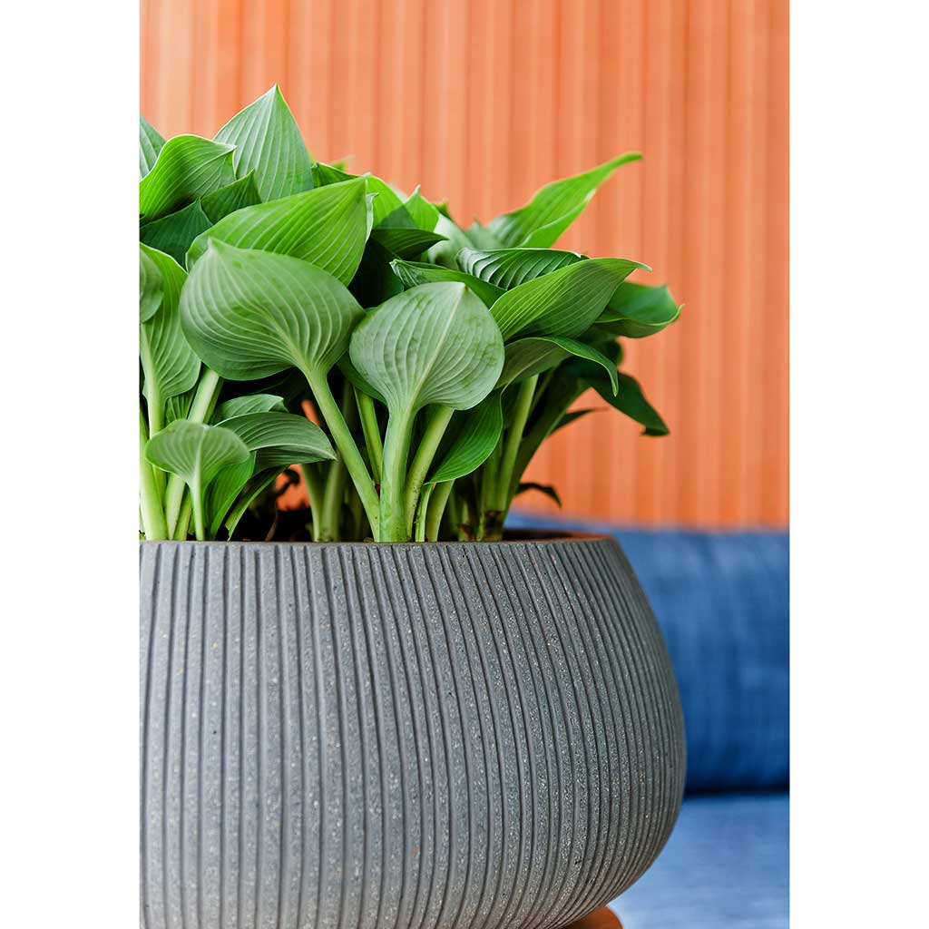 Eileen Planter Ridged Dark Grey Texture