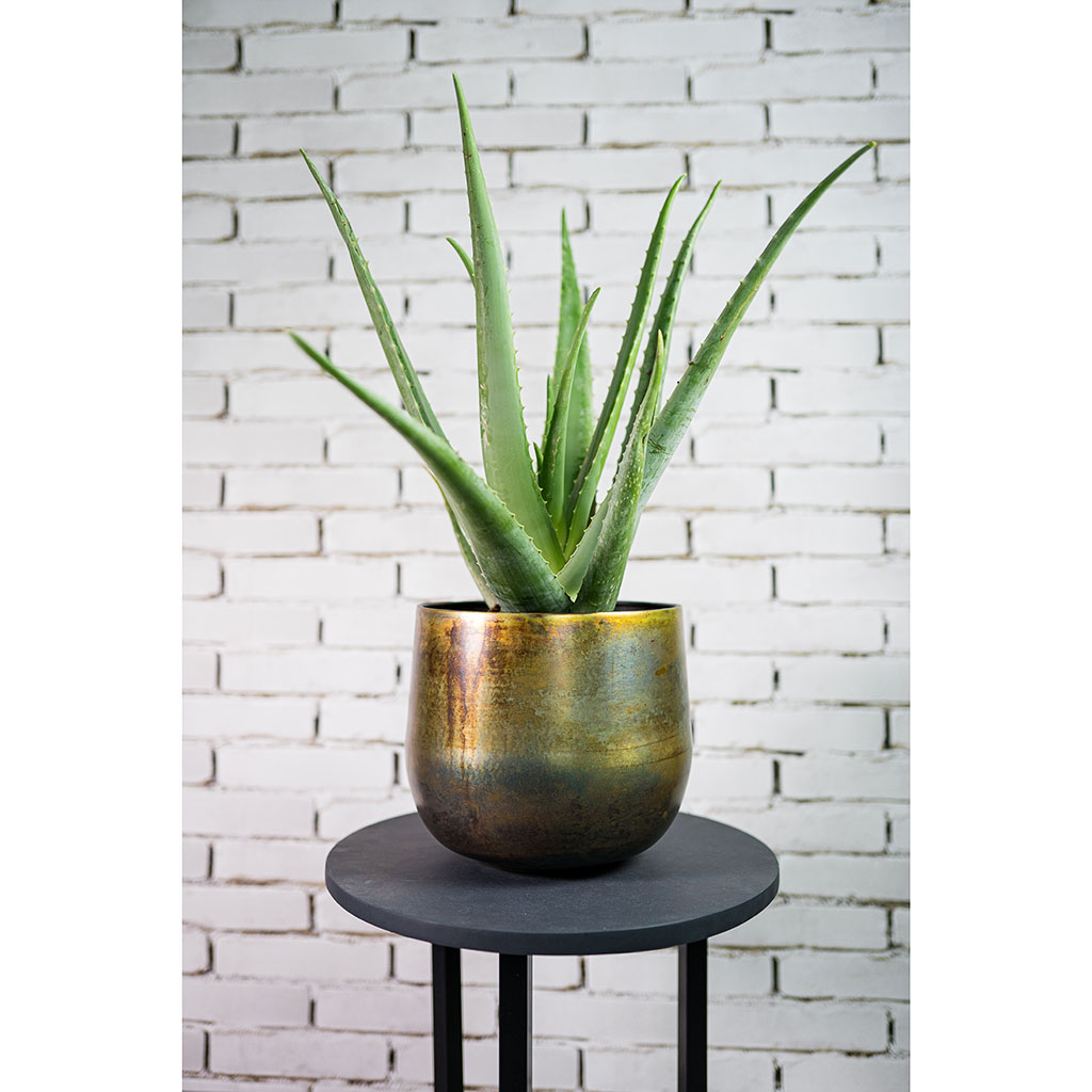 Elisa Metal Plant Pots Set of 3 Vintage Green Single Pot with Houseplant Lifestyle