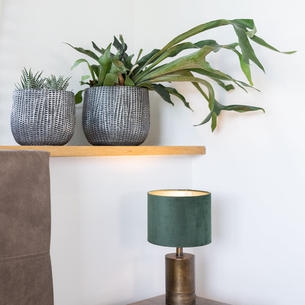 Feico Plant Pot - Metal Black with Haworthia & Staghorn Fern With Lamp Styling