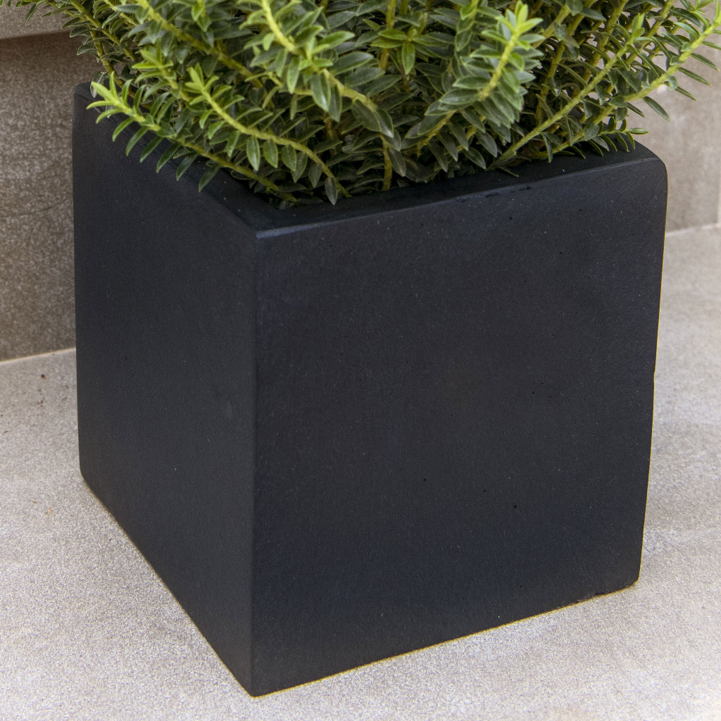 Fleur Natural Cube Planter - Black - Large