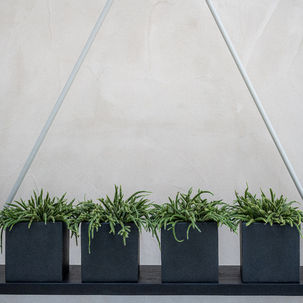 Fleur Natural Cube Planter - Black x4