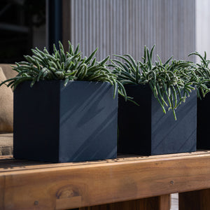 Fleur Natural Cube Planter - Black Outdoor