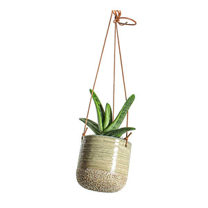 Gasteria Little Warty Ox Tongue & Issa Hanging Plant Pot - Light Grey
