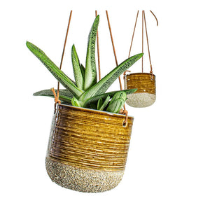 Gasteria Little Warty Ox Tongue & Issa Hanging Plant Pots Set of 2 - Ochre