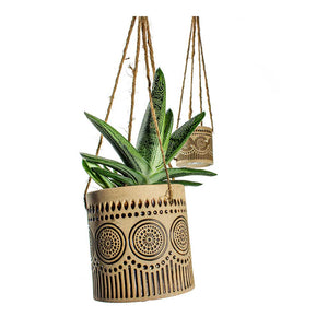 Gasteria Little Warty Ox Tongue & Syb Hanging Planters Set of 2 - Gold