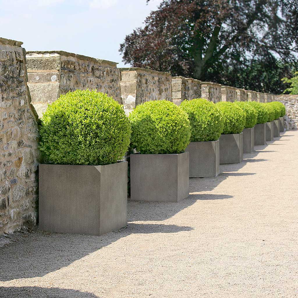 Grigio Cube Planter - Natural Concrete Planted