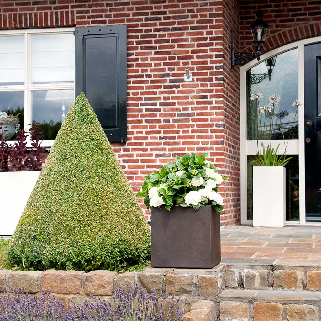 Grigio Cube Planter - Rusty Iron Concrete Planted