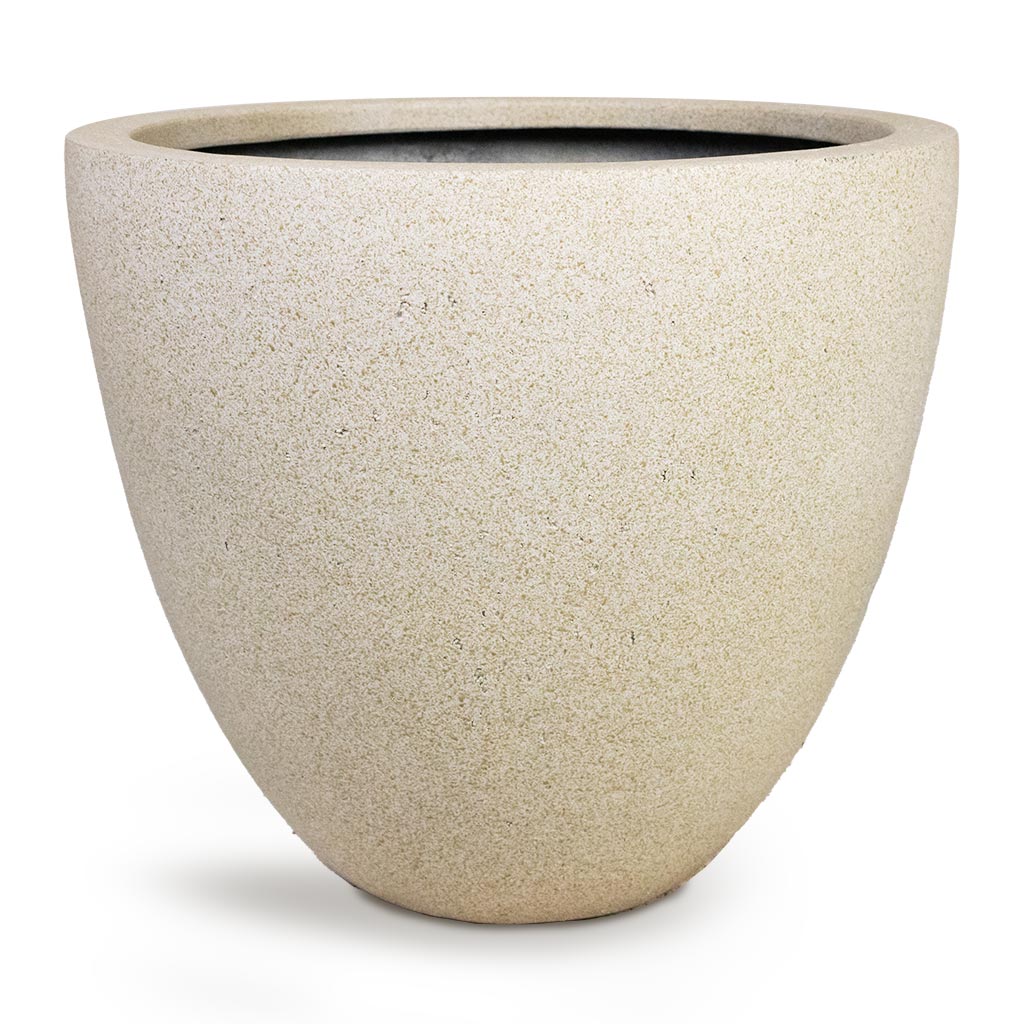 Grigio Egg Pot Planter - Antique White Concrete
