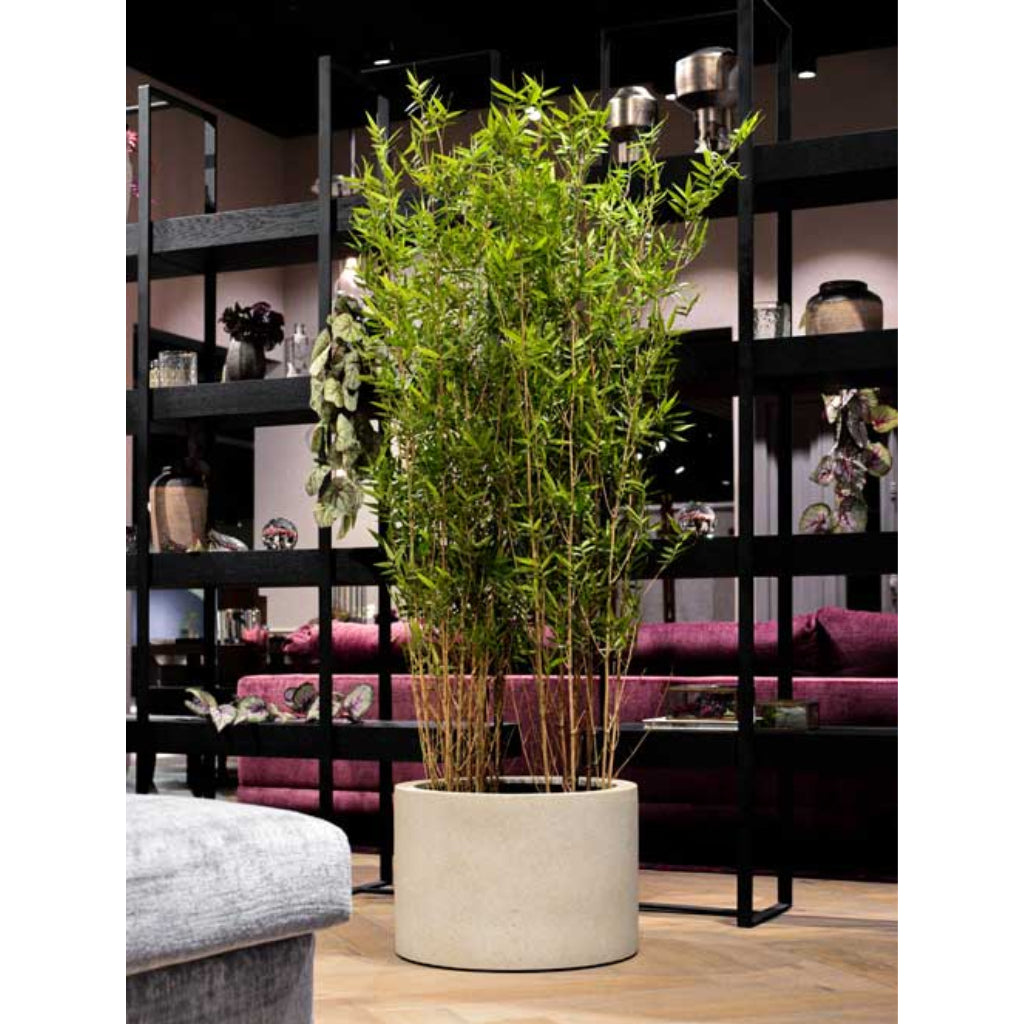 Grigio Cylinder Planter - Antique White Concrete With Bamboo