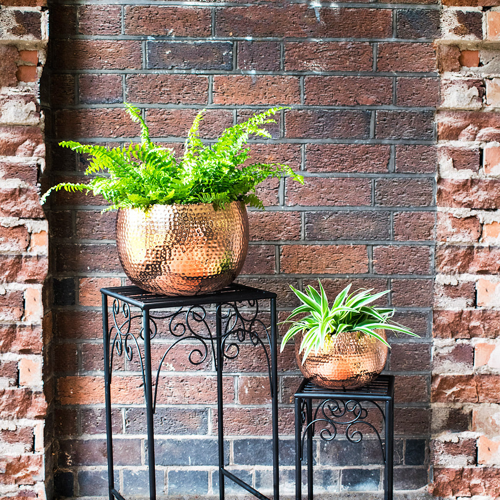 Hammered Bowl - Copper Planters
