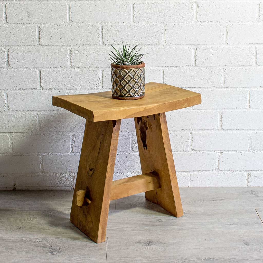 Haworthia fasciala Alba & Liam Grey Plant Pot