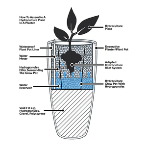 Cycas revoluta - Hydroculture How To Assemble