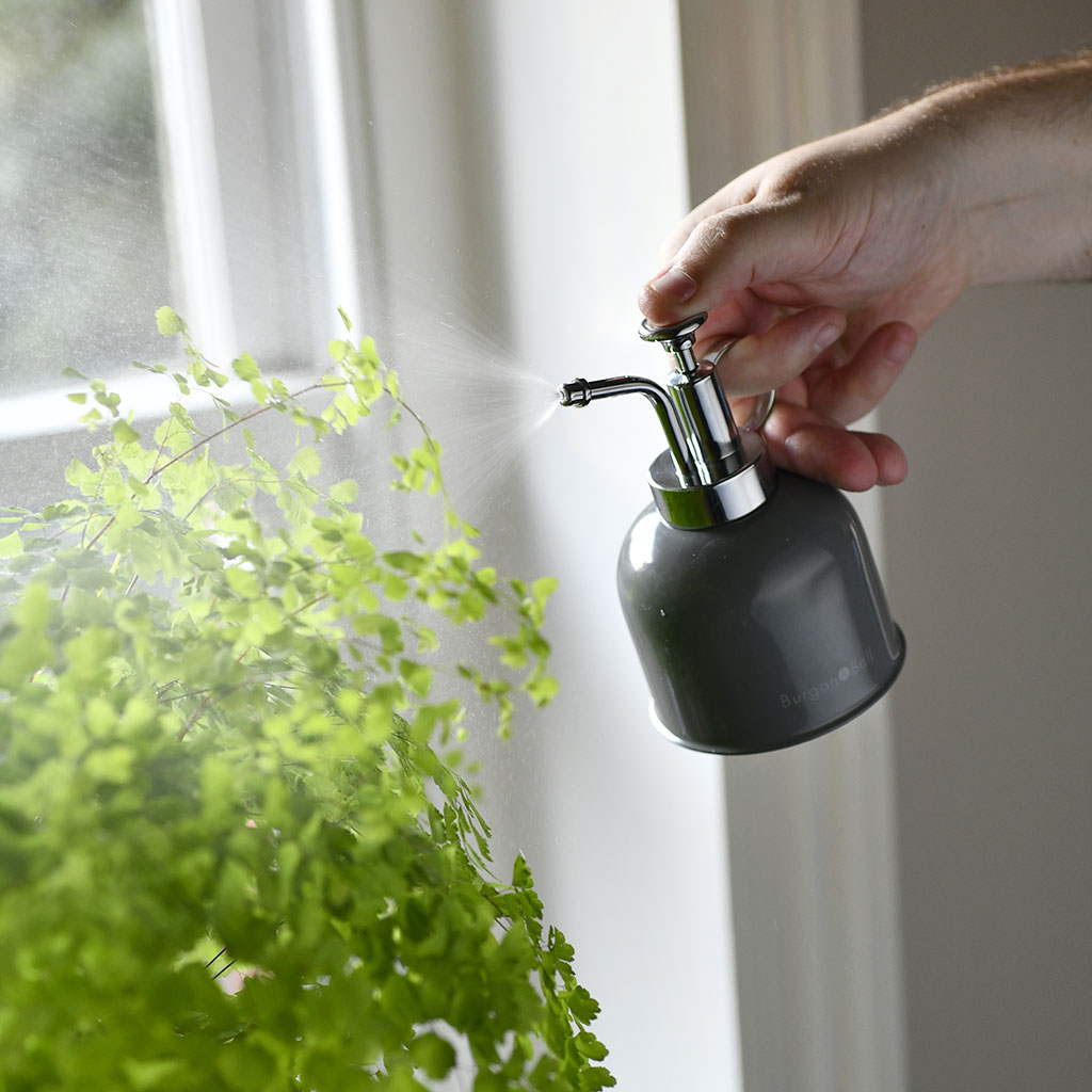 Indoor Plant Mister Charcoal Spraying Houseplants