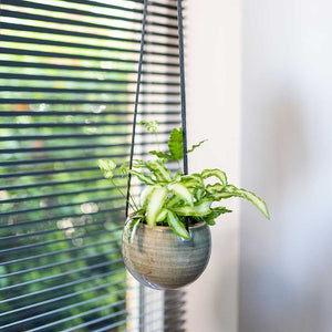 Iris Hanging Plant Pot - Mint & Houseplant