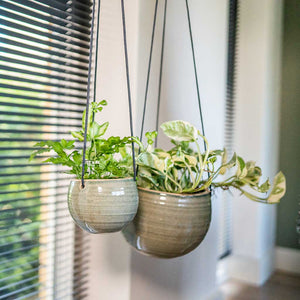 Iris Hanging Plant Pots - Mint & Trailing Houseplants