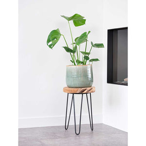 Iris Plant Pot - Mint - XL with Monstera deliciosa - Swiss Cheese Plant