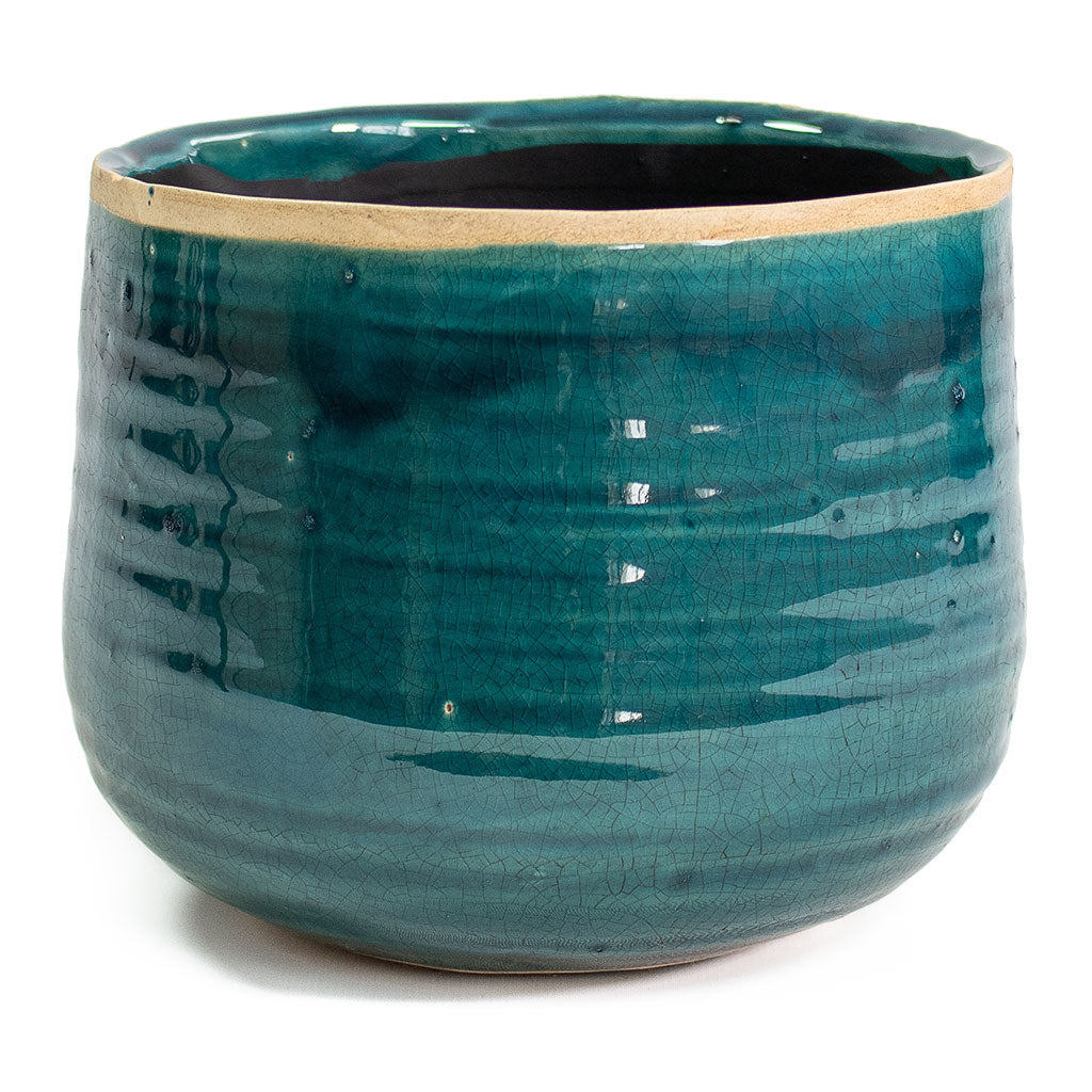Iris Plant Pot - Turquoise Large