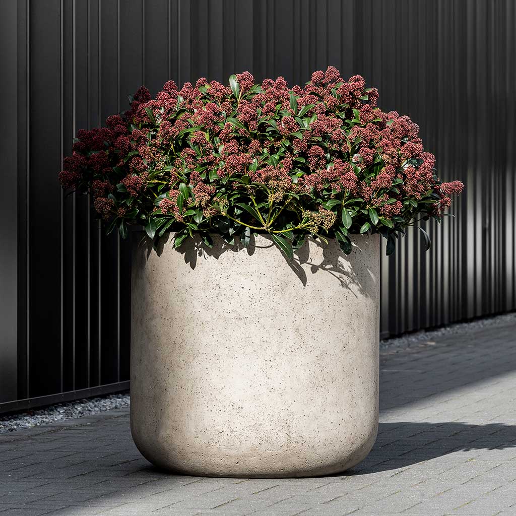 Jumbo Charlie Planter - Stone Washed Outdoors