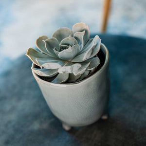 Kaat Plant Pot - Blue - Succulent Houseplant