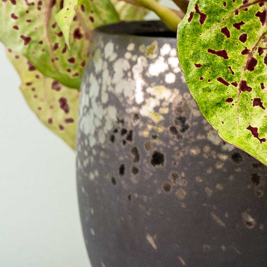 Kae Plant Bowl Mocha Textures